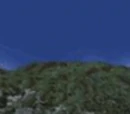 Grassy Land