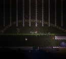 World Feeder