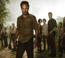 The Walking Dead (TV Series)