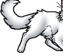 Cloudtail