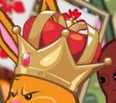 Head Accessories