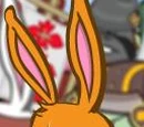 Whiskers