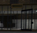 Katzenstein's Lab