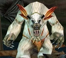 Moordo