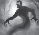 Shadow ascendant
