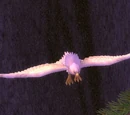 Hyjal Huntress