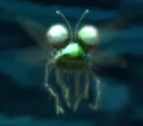 Fly