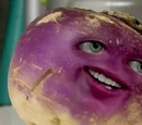 Turnip