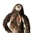 Mapinguari