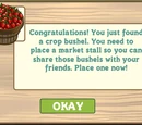 Guide:Farmer's Market Instruction