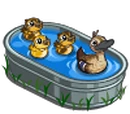 Mothers Ducklings Trough