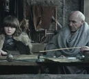 Maesters