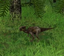 Microceratus