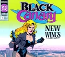 Black Canary Vol 1 1