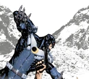 Midnighter (Wildstorm Universe)