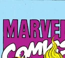 New Warriors Vol 1 17