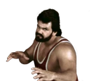 Steve Williams