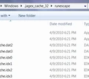 Jagex cache