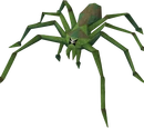 Jungle spider