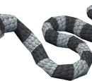 Sea Snake Young