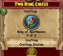 Two Ring Circus