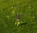 Maizerly Thief