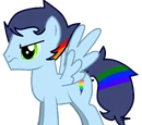Streak Bow