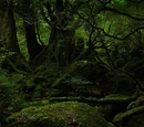 Estreoth/Jurasha Jungle