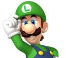 New Super Mario Bros. 2 (EvilThunderMass version)