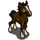 Hackney Foal-icon.png
