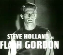 Steve Holland