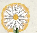 Sheela Peryroyl