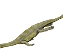 Nothosauroidea