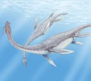 Plesiosaurus