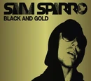 Black and Gold (song)