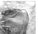 Leviathan