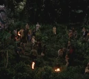 Survivor factions