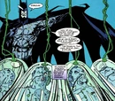 Bruce I Joker 003.jpg