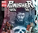 Punisher: War Zone Vol 3 2