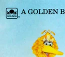 Grover's Day at the Beach
