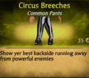 Circus Breeches