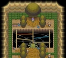 Azalea Town Gym