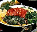 Lebanese Appetizers