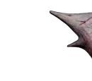 Numb Body
