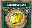 Golden Squash