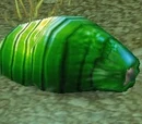 Silithid Grub