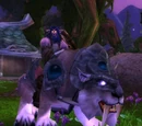 Anren Shadowseeker
