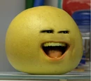 Grapefruit