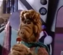 Rhonda (ALF)