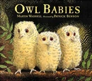Owl Babies